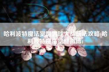 哈利波特魔法觉醒雪球大战玩法攻略(哈利波特魔法觉醒微博)