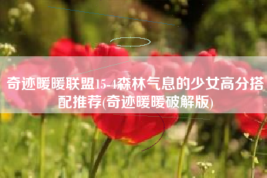 奇迹暖暖联盟15-4森林气息的少女高分搭配推荐(奇迹暖暖破解版)