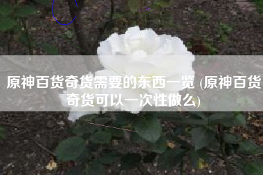原神百货奇货需要的东西一览 (原神百货奇货可以一次性做么)