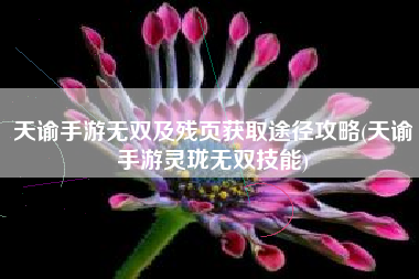 天谕手游无双及残页获取途径攻略(天谕手游灵珑无双技能)