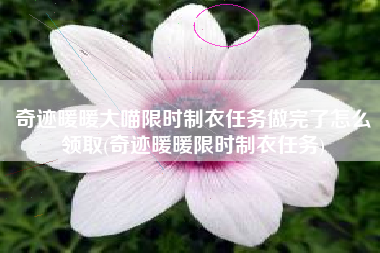 奇迹暖暖大喵限时制衣任务做完了怎么领取(奇迹暖暖限时制衣任务)