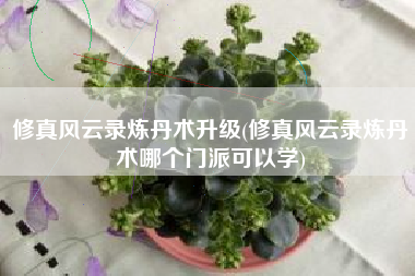 修真风云录炼丹术升级(修真风云录炼丹术哪个门派可以学)