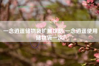 一念逍遥储物袋扩展攻略(一念逍遥使用储物袋一次)