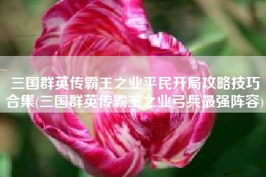 三国群英传霸王之业平民开局攻略技巧合集(三国群英传霸王之业弓兵最强阵容)