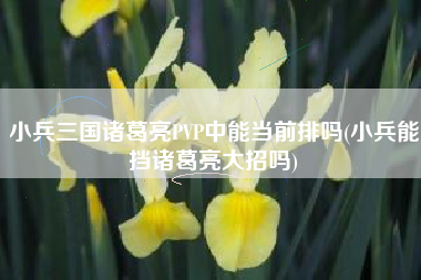 小兵三国诸葛亮PVP中能当前排吗(小兵能挡诸葛亮大招吗)