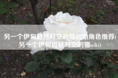 另一个伊甸超越时空的猫初始角色推荐(另一个伊甸超越时空的猫wiki)