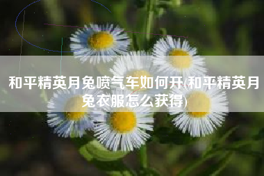 和平精英月兔喷气车如何开(和平精英月兔衣服怎么获得)