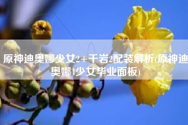 原神迪奥娜少女2+千岩2配装解析(原神迪奥娜4少女毕业面板)