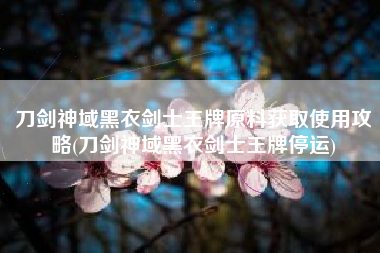 刀剑神域黑衣剑士王牌原料获取使用攻略(刀剑神域黑衣剑士王牌停运)