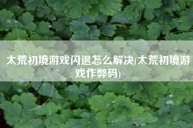 太荒初境游戏闪退怎么解决(太荒初境游戏作弊码)