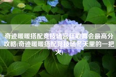 奇迹暖暖搭配竞技场宫廷歌舞会最高分攻略(奇迹暖暖搭配竞技场冬天里的一把火)
