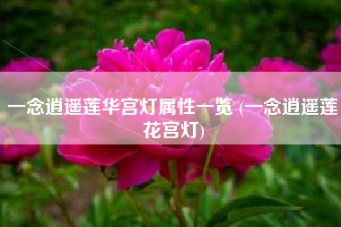 一念逍遥莲华宫灯属性一览 (一念逍遥莲花宫灯)