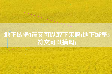 地下城堡3符文可以取下来吗(地下城堡3符文可以摘吗)