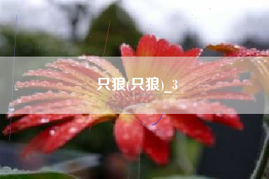 只狼(只狼)_3