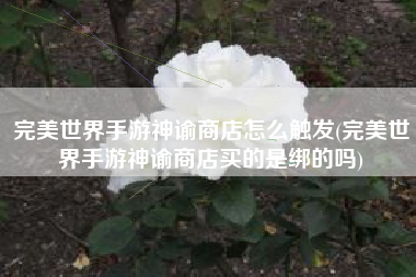 完美世界手游神谕商店怎么触发(完美世界手游神谕商店买的是绑的吗)