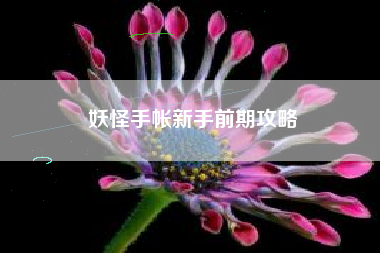 妖怪手帐新手前期攻略