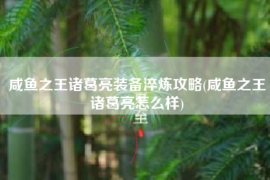 咸鱼之王诸葛亮装备淬炼攻略(咸鱼之王诸葛亮怎么样)
