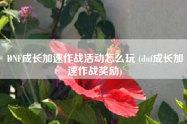 DNF成长加速作战活动怎么玩 (dnf成长加速作战奖励)
