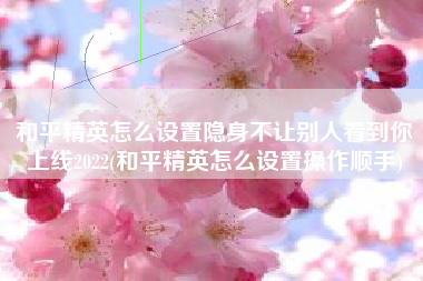 和平精英怎么设置隐身不让别人看到你上线2022(和平精英怎么设置操作顺手)