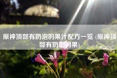 原神顶部有奶泡的果汁配方一览 (原神顶部有奶泡的果)