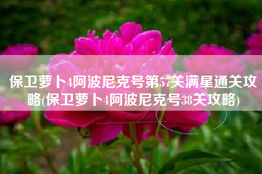保卫萝卜4阿波尼克号第57关满星通关攻略(保卫萝卜4阿波尼克号38关攻略)