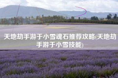 天地劫手游于小雪魂石推荐攻略(天地劫手游于小雪技能)
