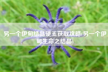 另一个伊甸结晶硬玉获取攻略(另一个伊甸生命之结晶) 另一个伊甸结晶硬玉获取攻略(另一个伊甸生命之结晶)