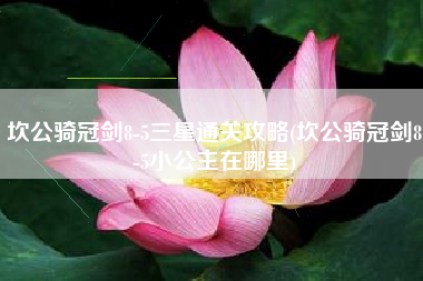 坎公骑冠剑8-5三星通关攻略(坎公骑冠剑8-5小公主在哪里)