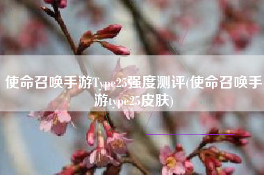 使命召唤手游Type25强度测评(使命召唤手游type25皮肤)