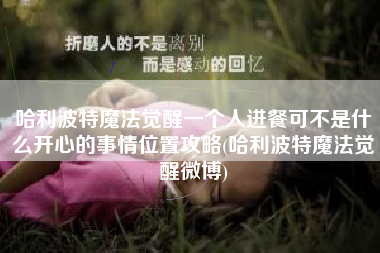哈利波特魔法觉醒一个人进餐可不是什么开心的事情位置攻略(哈利波特魔法觉醒微博)