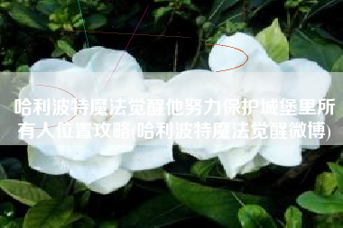 哈利波特魔法觉醒他努力保护城堡里所有人位置攻略(哈利波特魔法觉醒微博)
