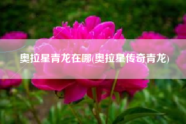 奥拉星青龙在哪(奥拉星传奇青龙)