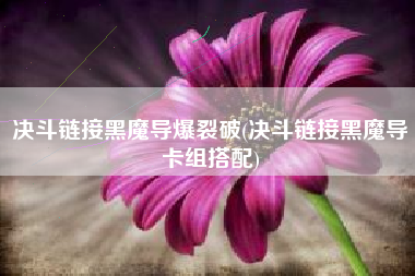 决斗链接黑魔导爆裂破(决斗链接黑魔导卡组搭配)
