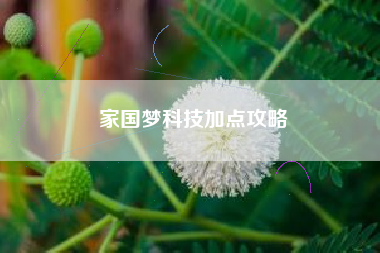 家国梦科技加点攻略 家国梦科技加点攻略