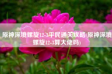 原神深境螺旋12-3平民通关攻略(原神深境螺旋12-3算大佬吗)