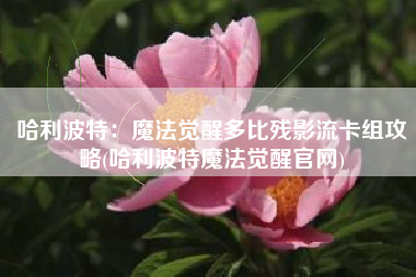 哈利波特：魔法觉醒多比残影流卡组攻略(哈利波特魔法觉醒官网)