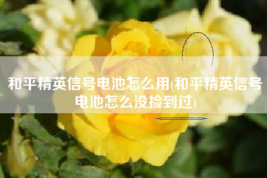 和平精英信号电池怎么用(和平精英信号电池怎么没捡到过)