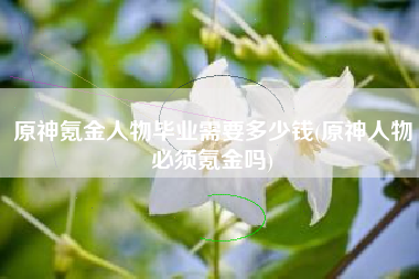 原神氪金人物毕业需要多少钱(原神人物必须氪金吗)