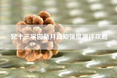 妃十三学园新月真知强度测评攻略
