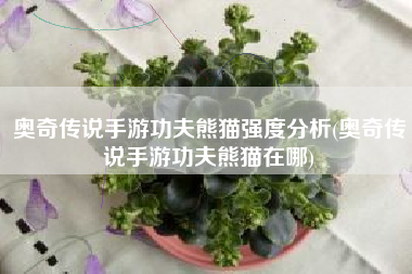 奥奇传说手游功夫熊猫强度分析(奥奇传说手游功夫熊猫在哪)