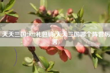 天天三国2022礼包码(天天三国哪个阵营厉害)