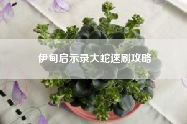 伊甸启示录大蛇速刷攻略