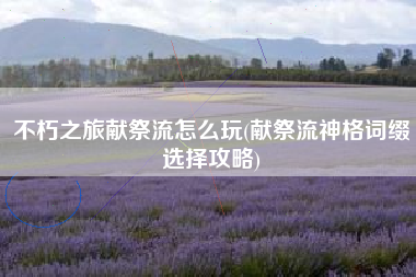 不朽之旅献祭流怎么玩(献祭流神格词缀选择攻略)