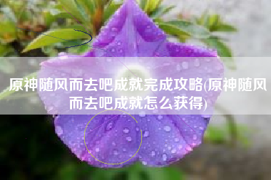 原神随风而去吧成就完成攻略(原神随风而去吧成就怎么获得)