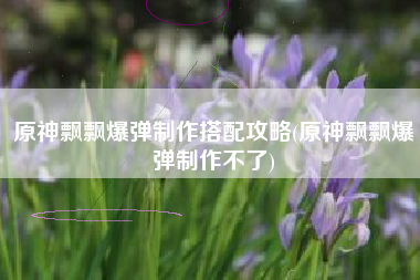 原神飘飘爆弹制作搭配攻略(原神飘飘爆弹制作不了)