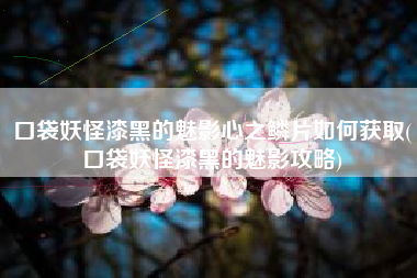 口袋妖怪漆黑的魅影心之鳞片如何获取(口袋妖怪漆黑的魅影攻略)
