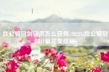 坎公骑冠剑钩爪怎么获得-20225(坎公骑冠剑11章完美结局)