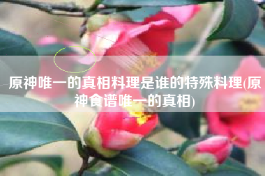 原神唯一的真相料理是谁的特殊料理(原神食谱唯一的真相)