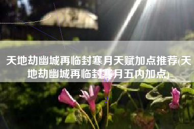 天地劫幽城再临封寒月天赋加点推荐(天地劫幽城再临封寒月五内加点)