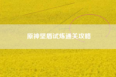 原神坚盾试炼通关攻略